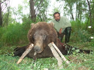 Bear Медведь 008