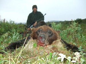 Bear Медведь 009