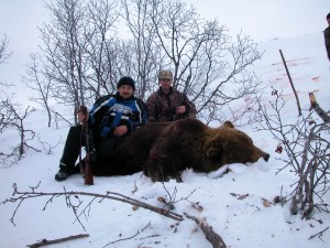 Bear Медведь 016
