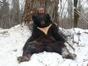 Bear Медведь 028