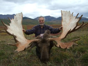 Kamchatka moose Лось 034